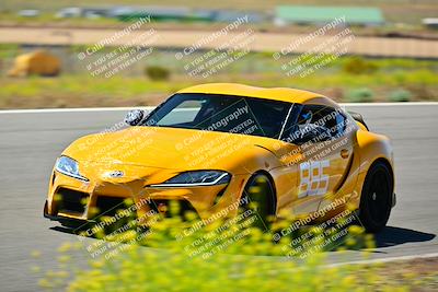 media/May-11-2024-Speed Ventures (Sat) [[6540dbf9cc]]/Black Group/Session 2-Bowl Entrance/